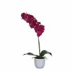 Mica decorations - orchidée artificielle violette en pot h60