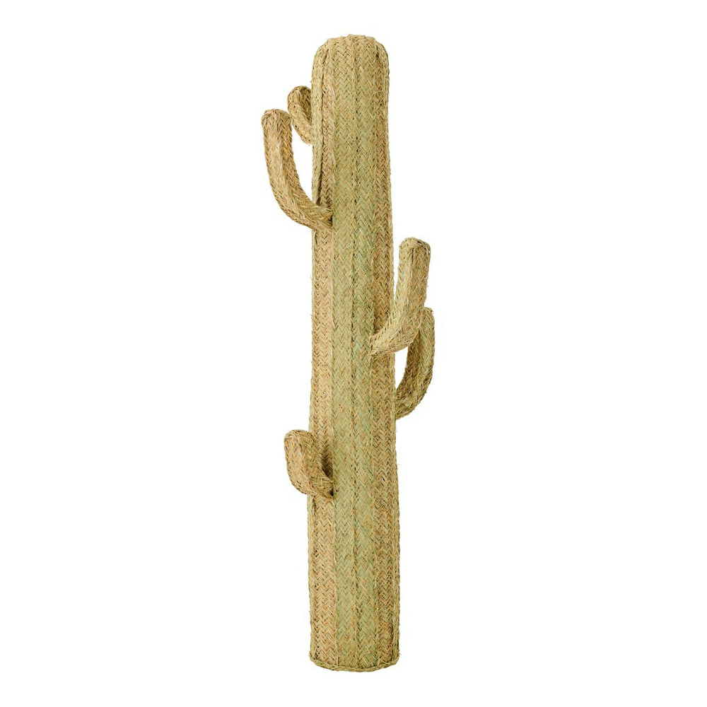 Cactus déco herbe 