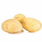 25 pommes de terre etincelle - 50 - willemse, les 25 plants / ø 35-50mm