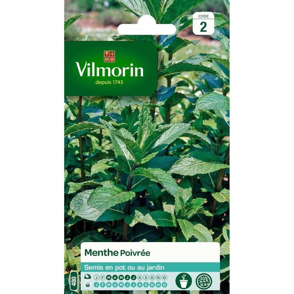Sachet graines menthe poivrée