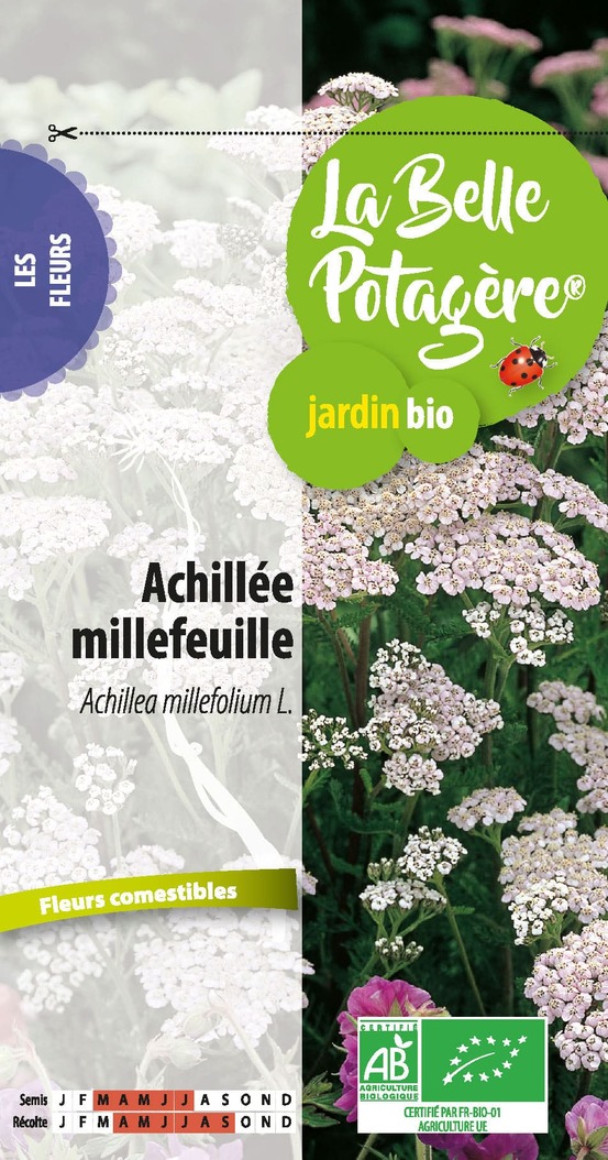 Achilée millefeuille 0,15 g