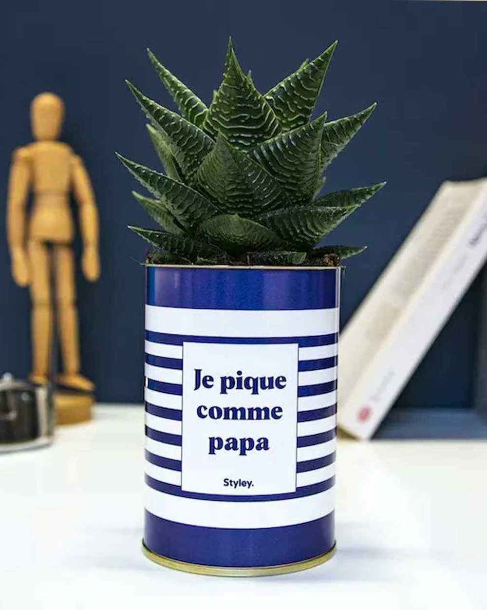 Plante à message - je pique comme papa - cactus