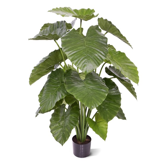 Alocasia calidora plante artificielle de 115 cm