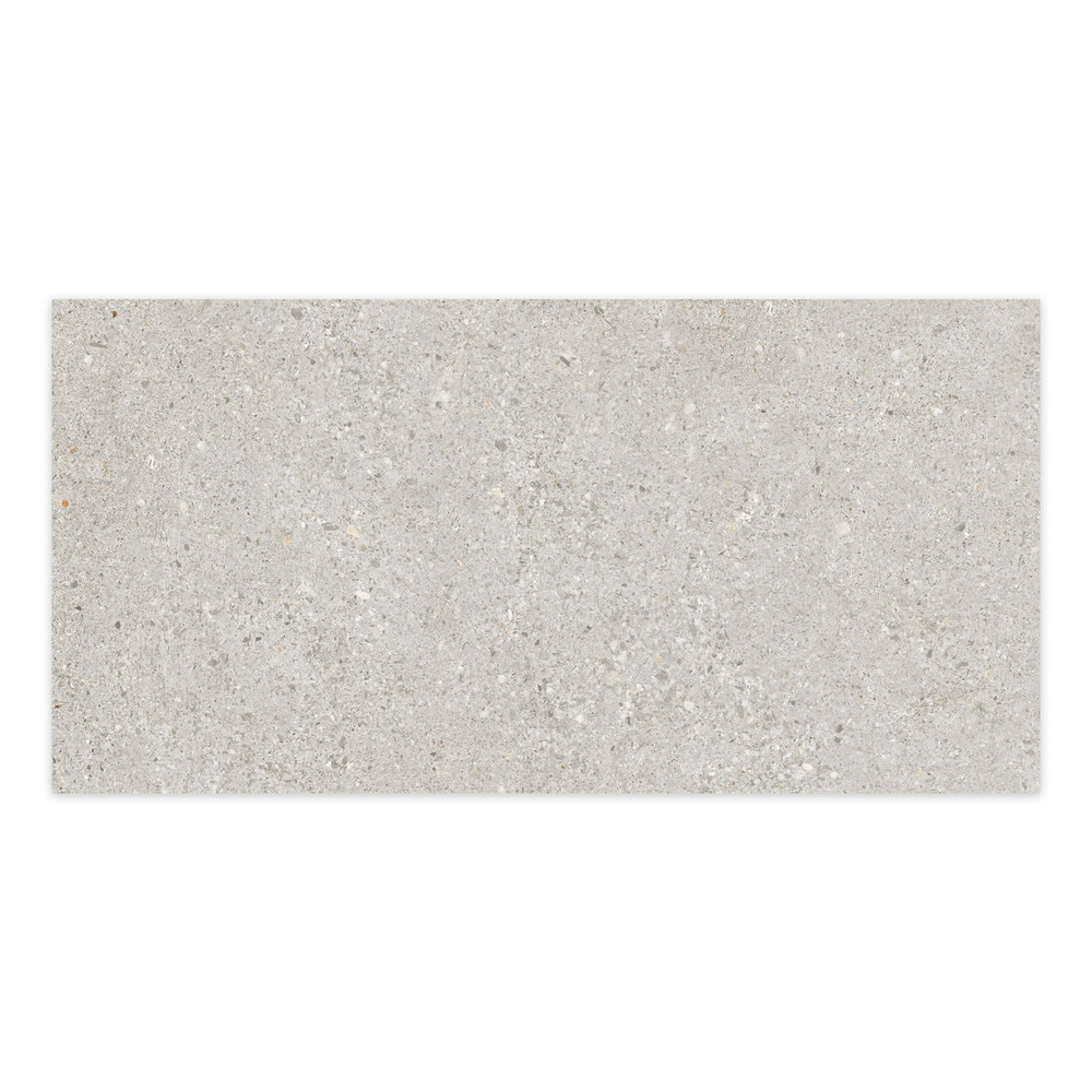 Carrelage effet béton gris silver 100x50x2 cm arvelis - sol extérieur (vendu par carton de 0,5 m²) - ro'ma carrelage