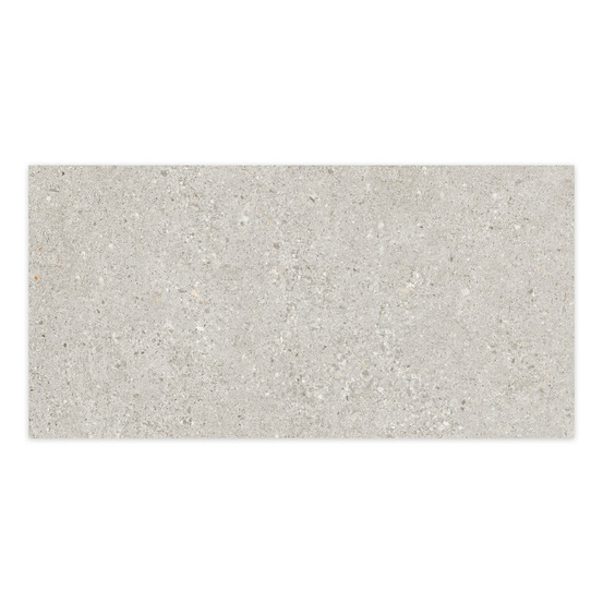 Carrelage effet béton gris silver 100x50x2 cm arvelis - sol extérieur (vendu par carton de 0,5 m²) - ro'ma carrelage