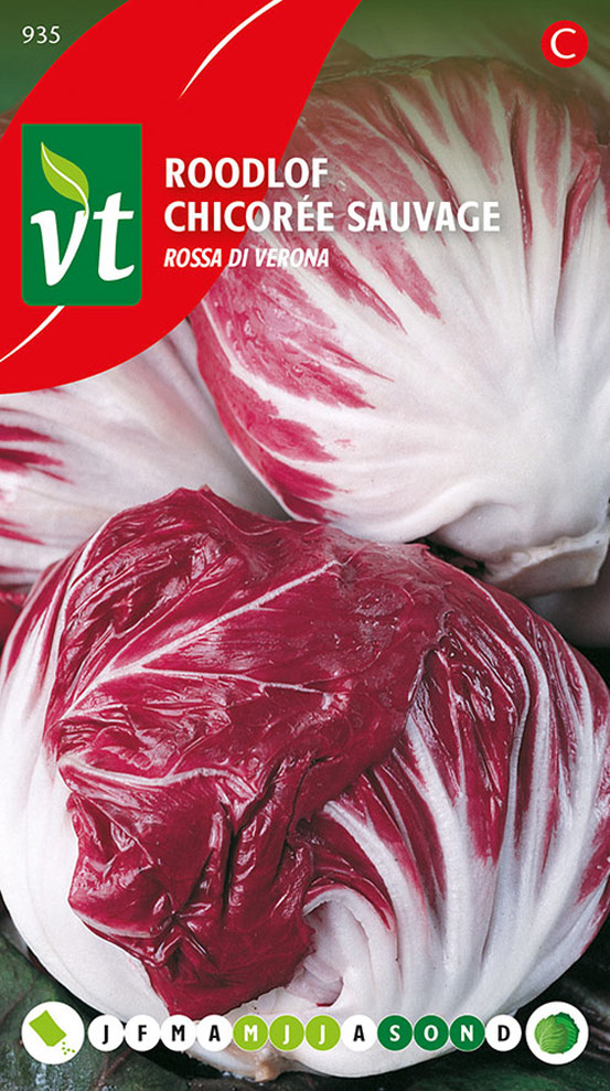 Chicoree rossa di verona - ca. 1 gr (livraison gratuite)