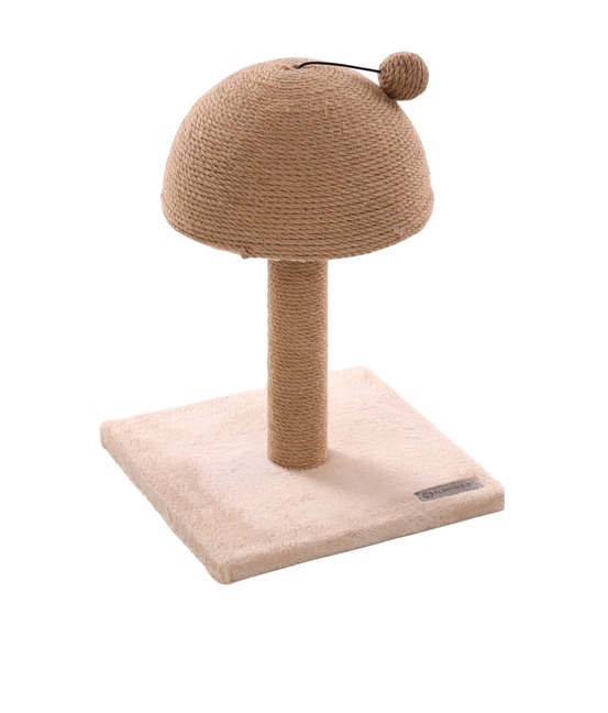 Arbre a griffer ash pour chat intérieur