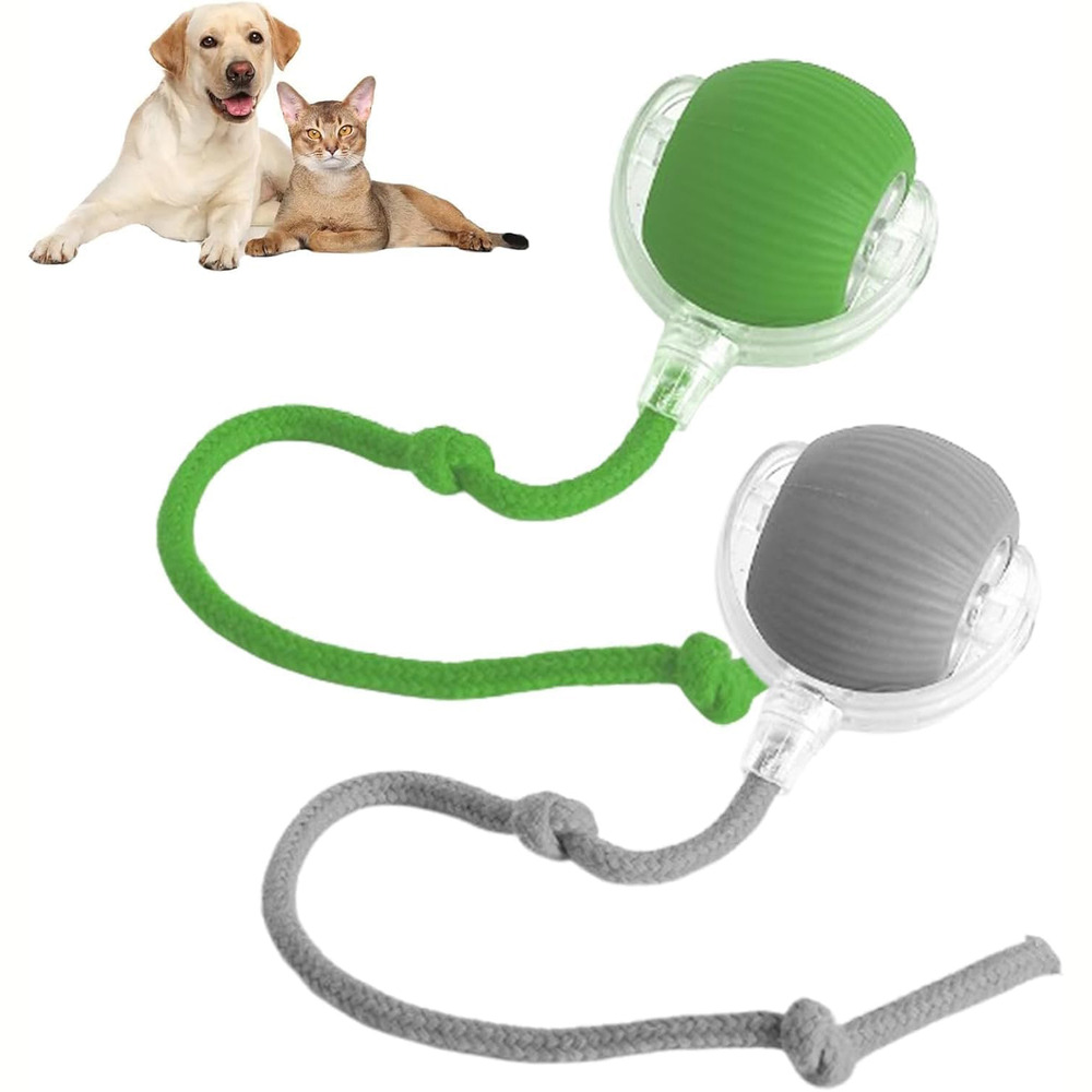 Balle interactive électrique pour chiens et chats