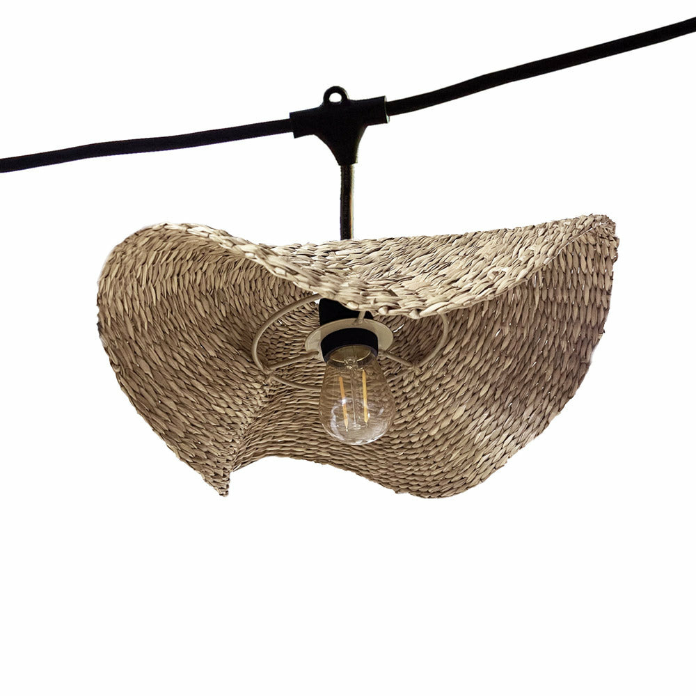 Guirlande lumineuse molly beige herbe marine 6m