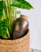 Oya pepin or anthique - diffuseur d'eau pour plantes