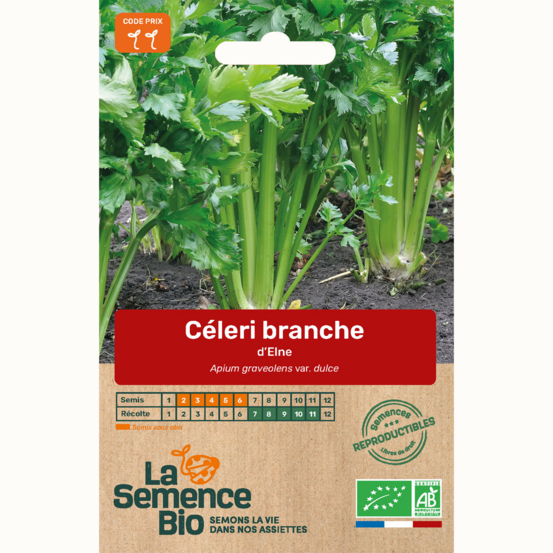 Céleri-branche d'elne - graines bio