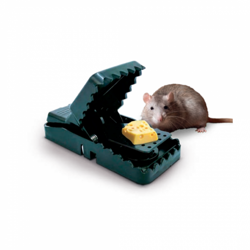4 piège à souris - tapette à souris professionnel