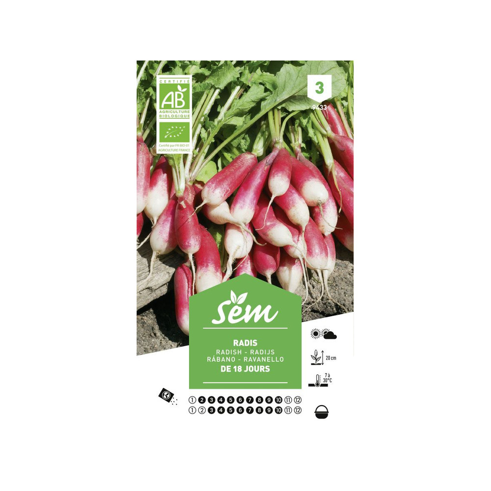 Graines potagères radis de 18 jours