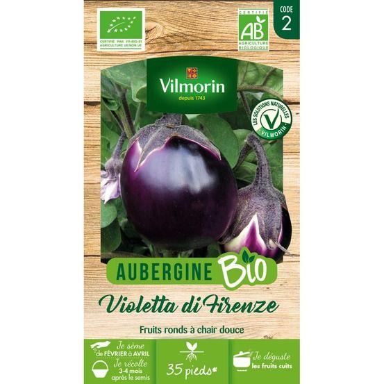Sachet de graines aubergine violette de florence bio