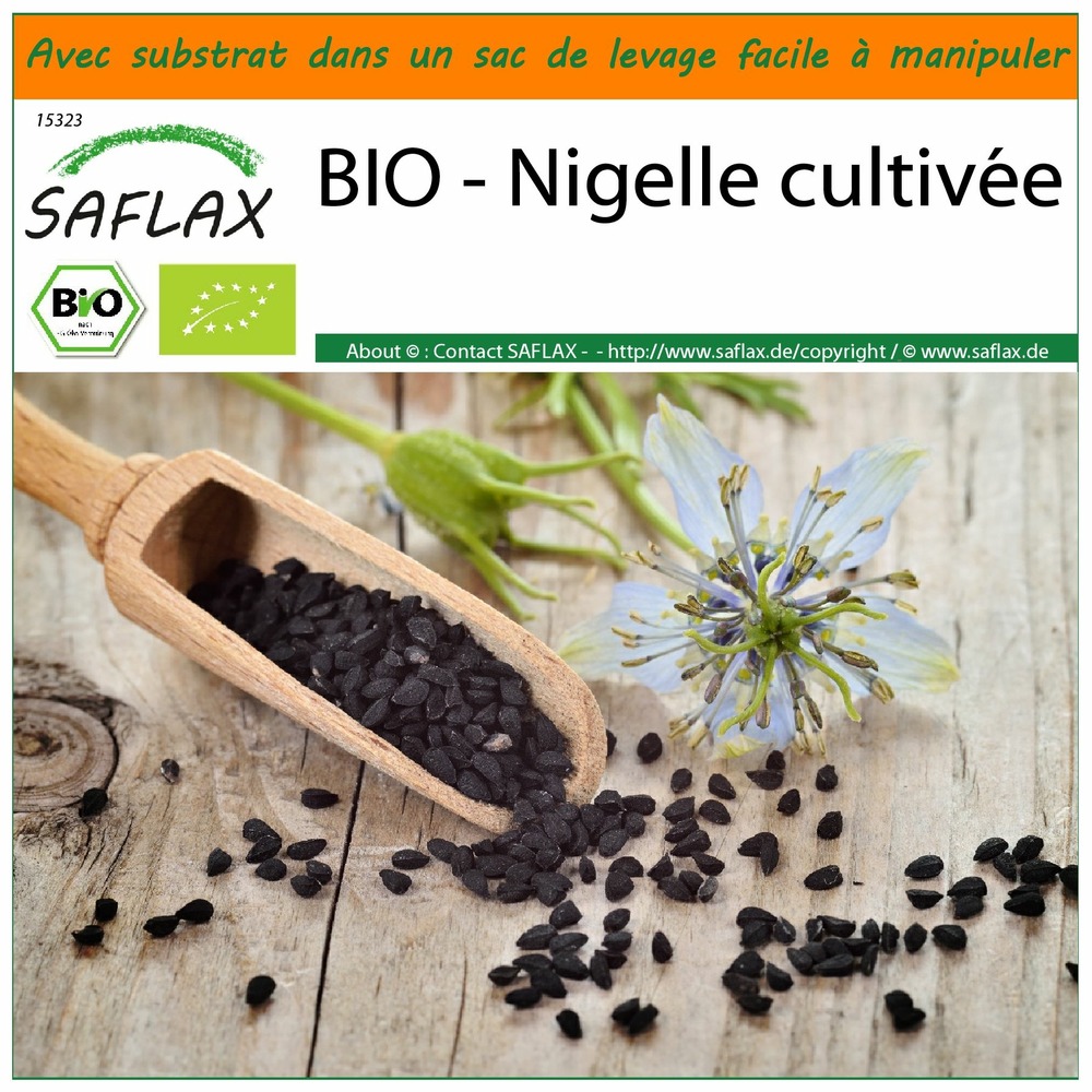 Garden in the bag - bio - nigelle cultivée - 300 graines - nigella sativa