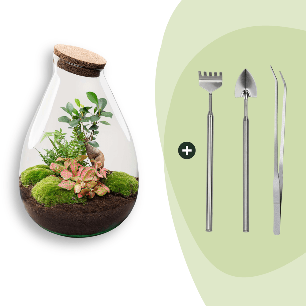 Terrarium à composer goutte en verre recyclé - ø29-h37cm - avec râteau, pelle et pince - terrarium diy