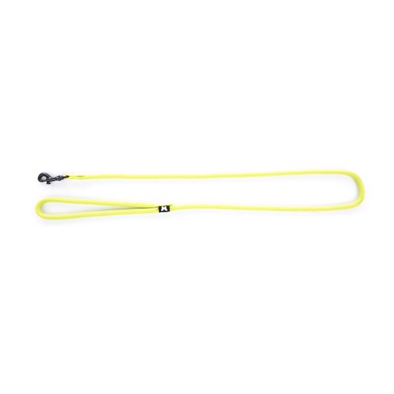 Martin sellier - laisse pour chiens en nylon martin sellier - laisse disponible en plusieurs coloris