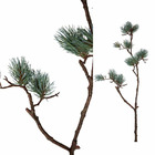 Ptmd pijnboom feuille artificielle - 74 x 24 x 107 - vert