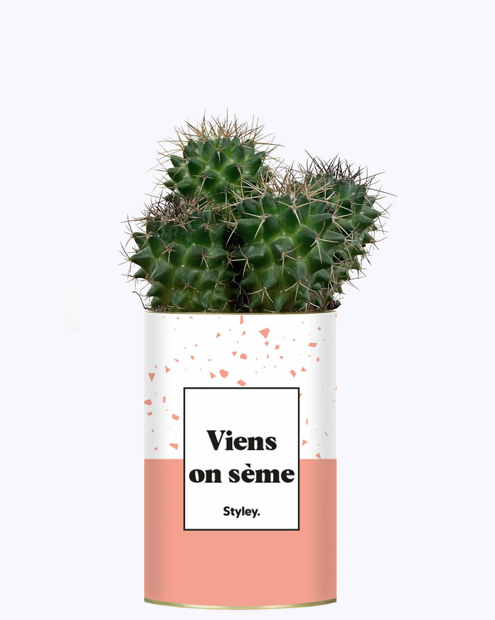 Plante personnalisée - viens on sème - cactus