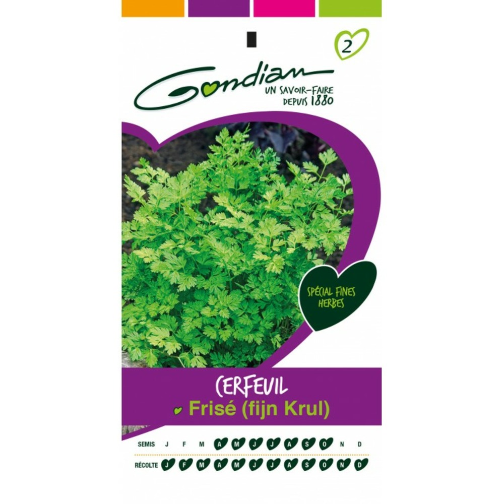 Cerfeuil frisé (fijn krul)