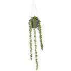 Mica decorations - senecio artificielle à suspendre vert clair en pot h56