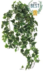 Lierre artificiel en chute 259 feuilles l 100 cm panaché - best - couleur: blanc