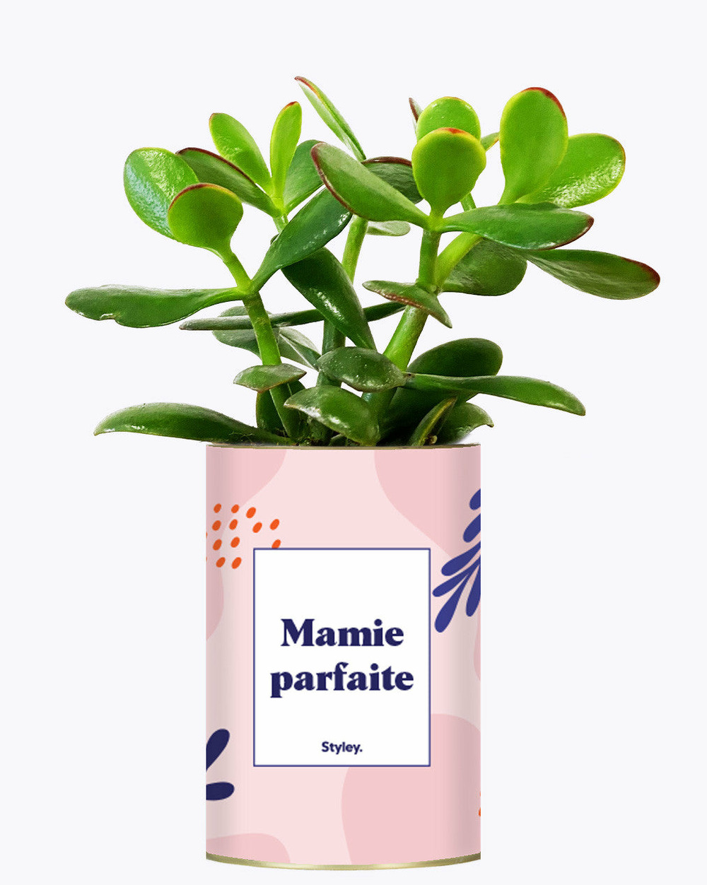 Idée cadeau - mamie parfaite - cactus