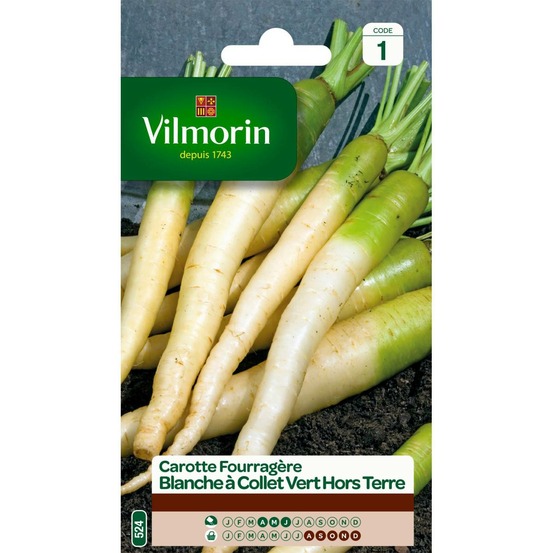 Sachet graines carotte fourragère blanche à collet vert