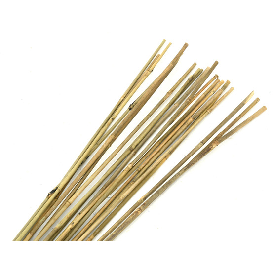 Tuteurs en bambou naturel (lot de 20)