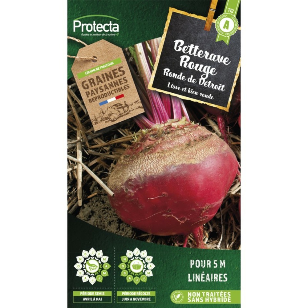 Graines paysannes - betterave de detroit