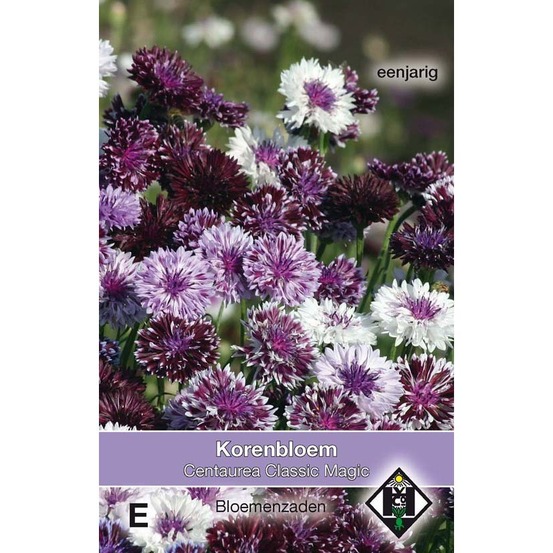 Centaurée 'classic magic' le sachet de 200 graines environ (1g)