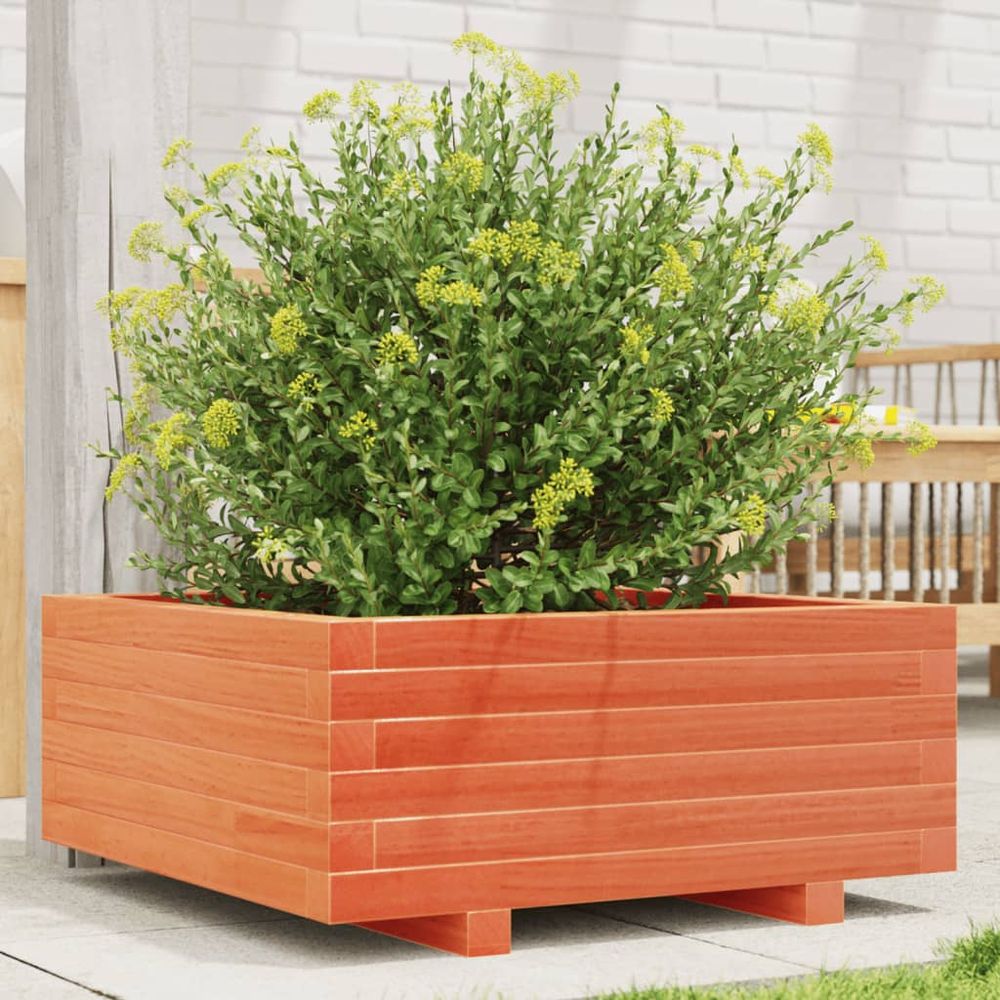 Jardinière carrée basse en bois de pin massif – bac à semis finition cire marron pour jardin – 60cm brun