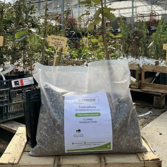 Substrat réensemencement tuber melanosporum sac de 5 litres