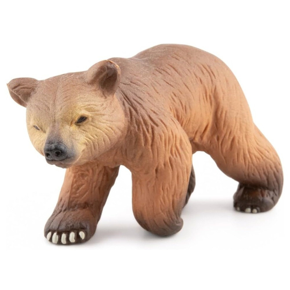 Ourson des PyrÃ©nÃ©es