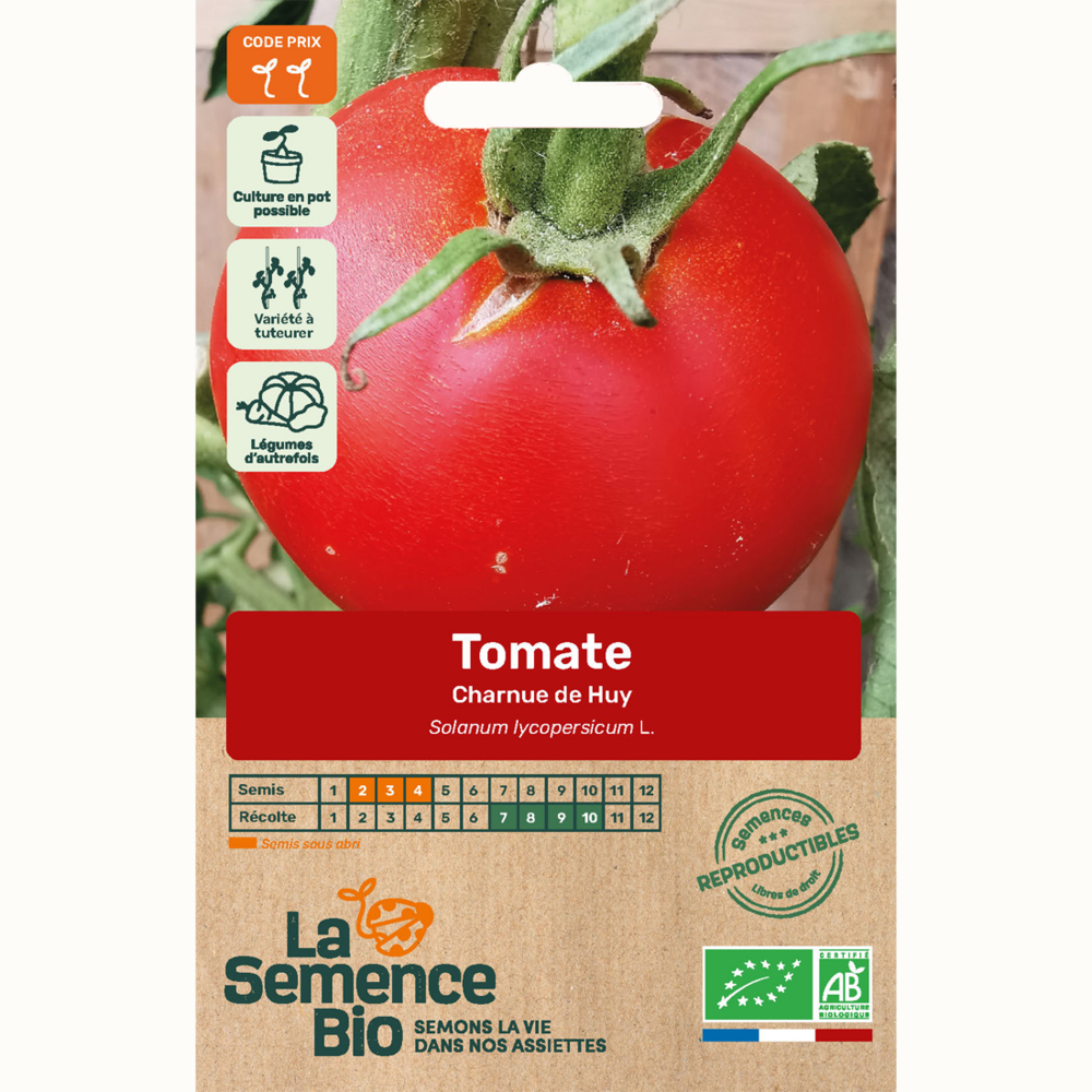 Tomate charnue de huy - graines bio
