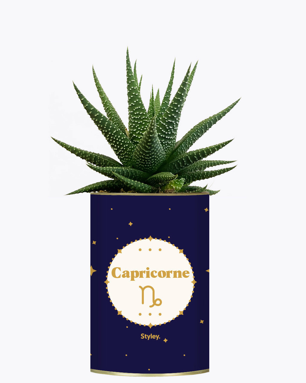 Idée cadeau - astrologie - plante zodiac