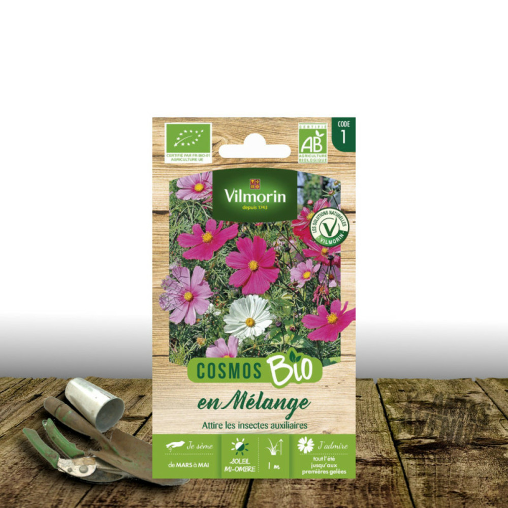 Graines de cosmos varié - sans traitement - vilmorin sachet
