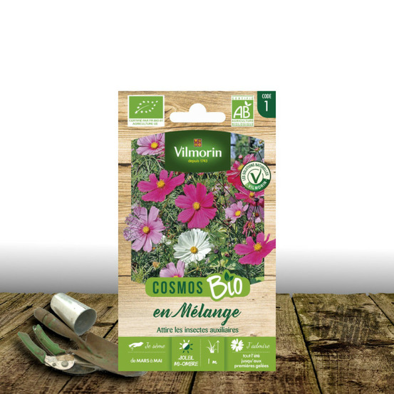 Graines de cosmos varié - sans traitement - vilmorin sachet