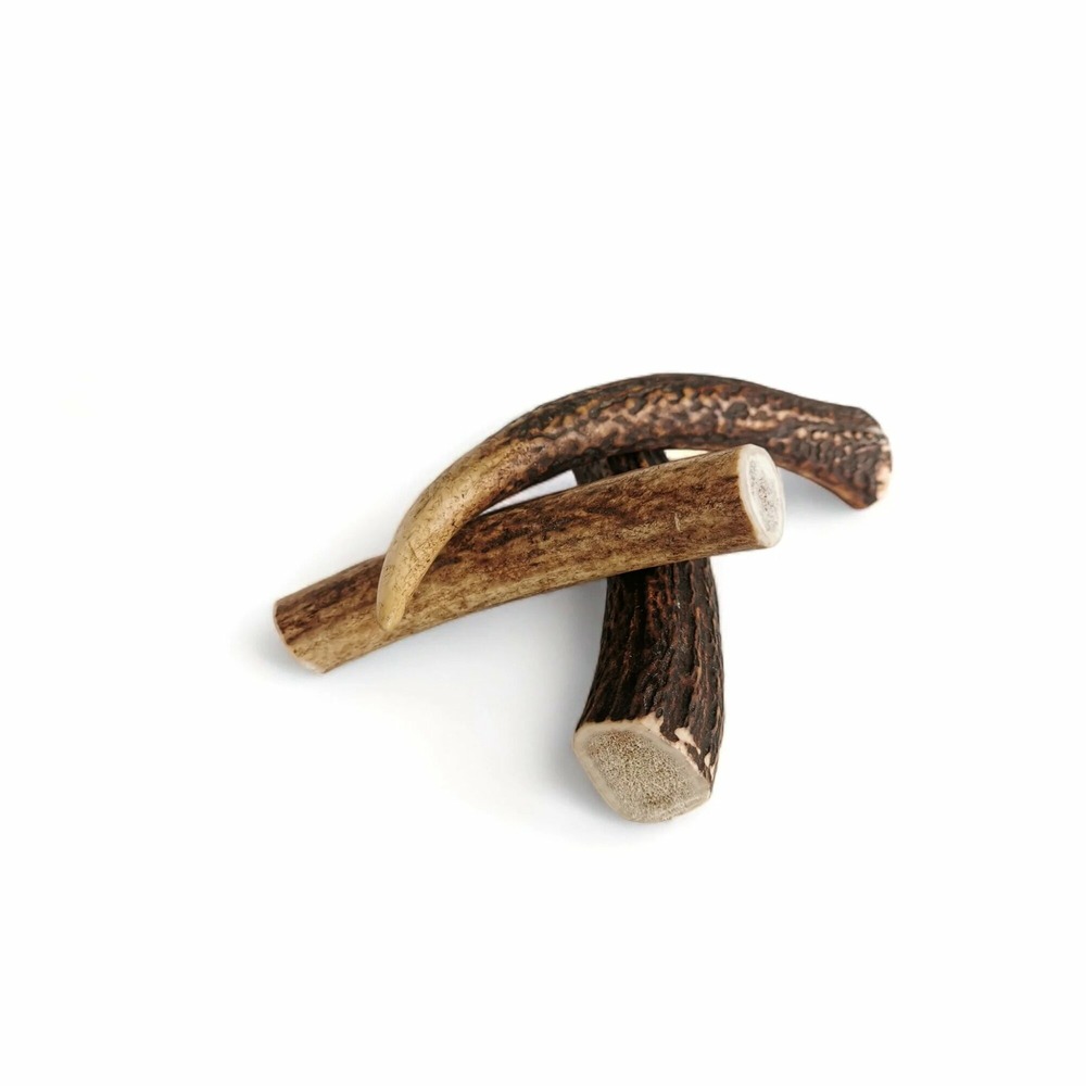 3x bois de cerf m entier (60/100gr) - chien<20kg - francec roquettes