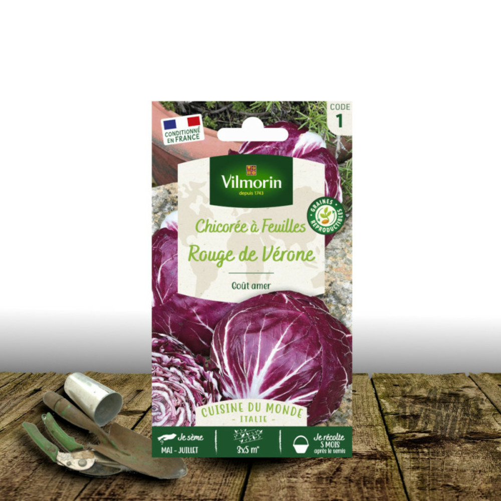 Graines de chicorée rouge de vérone - vilmorin sachet