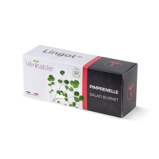 Lingot pimprenelle bio - recharge prête à l'emploi