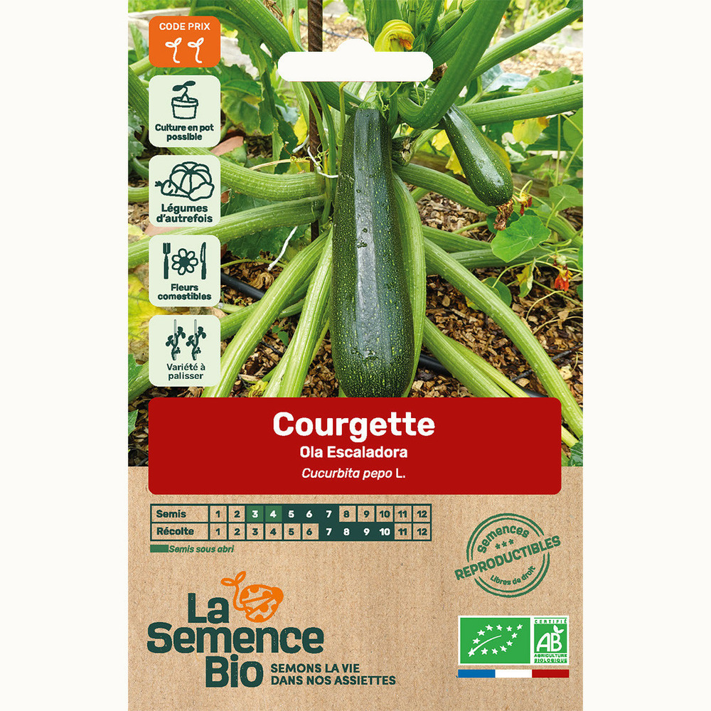 Courgette ola escaladora - graines bio