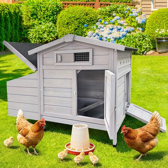 Poulailler surélevé en bois gris clair 104,5 x 52 x 71,3 cm pour poules avec pondoir