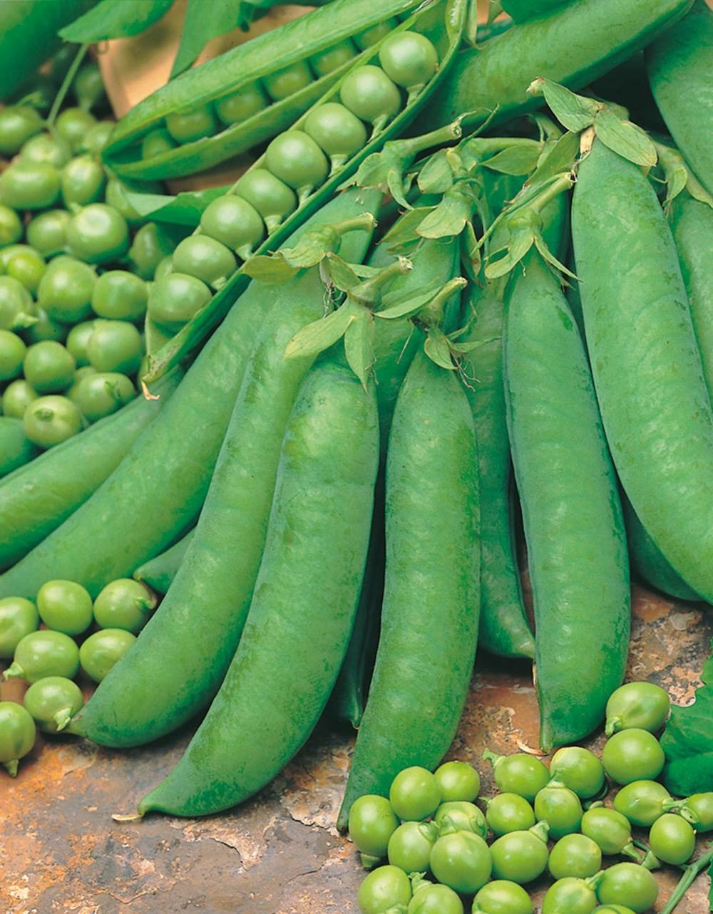 Pois exzellenz - 150 g