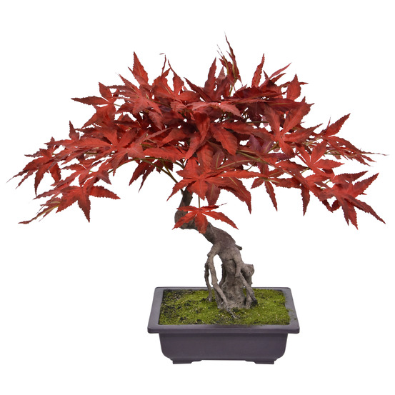Bonsai d'acer artificiel 50cm burgundy