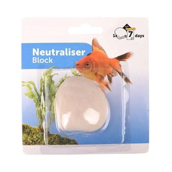 Coquille à oxygène pour poisson d' aquarium