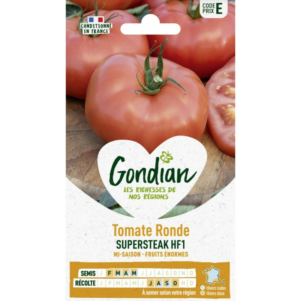 Tomate ronde supersteak hf1