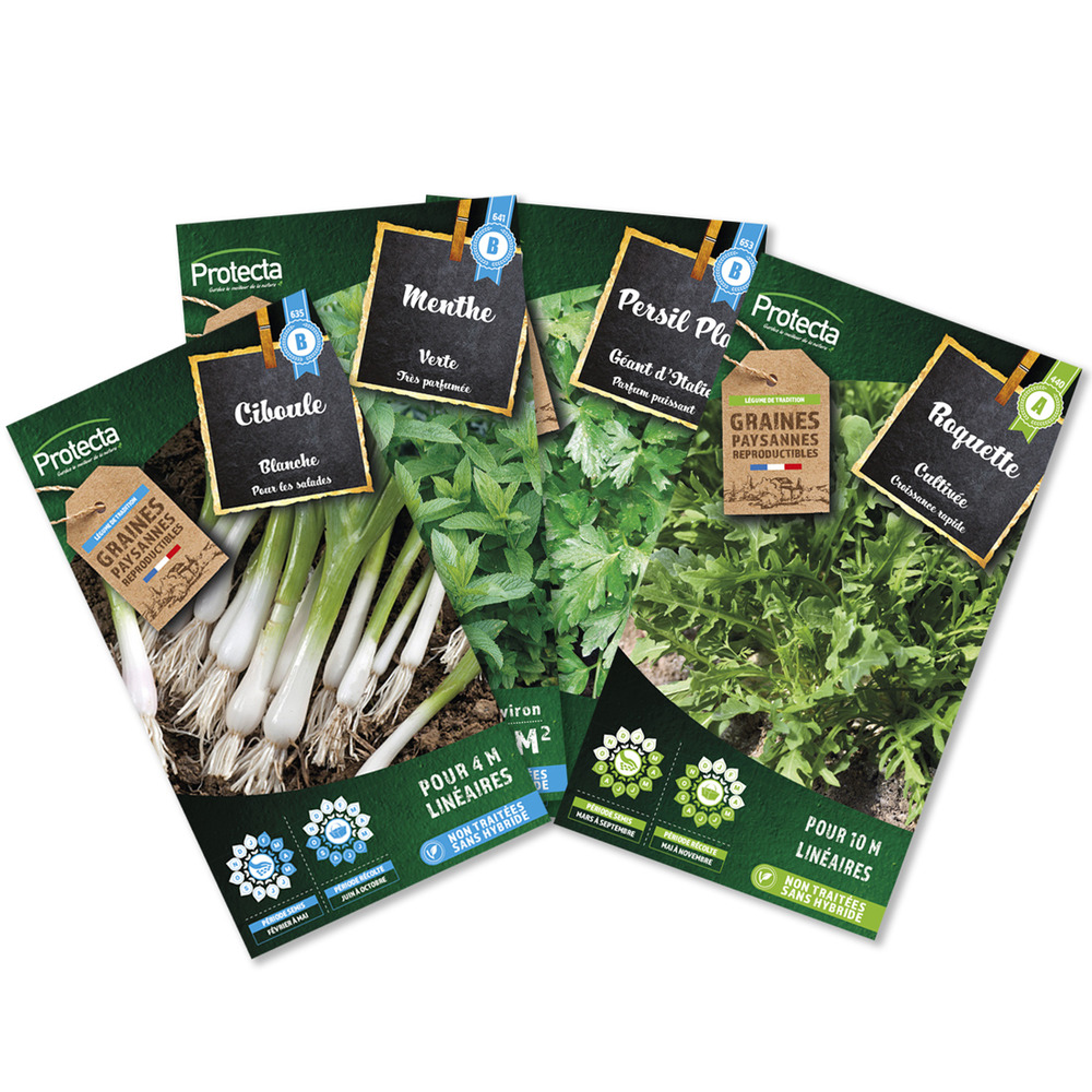 Pack herbes Persil, Ciboule, Menthe, Roquette - 4 sachets