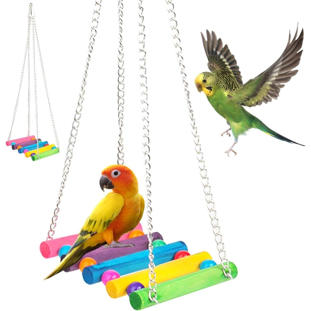 Jouets pour oiseaux-balançoire en bois avec perchoir pour oiseaux-coloré