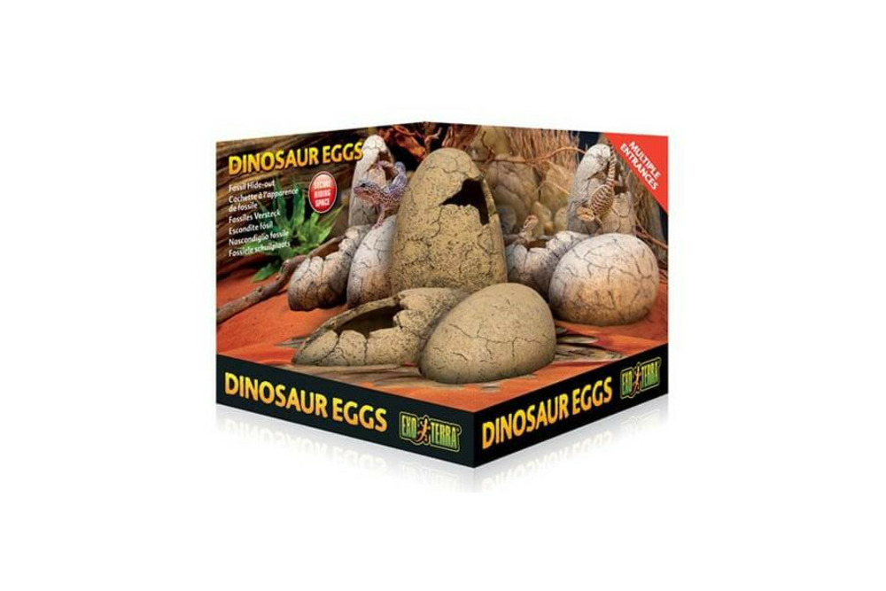 Oeufs de dinosaure - décor pour reptiles